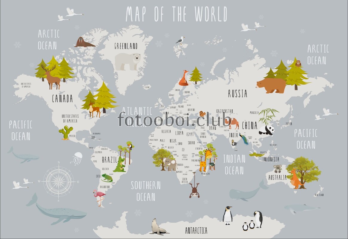 детские, карта мира, карта, для мальчиков, для девочек, животные, дерево 