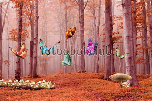 лес, осень, бабочки, грибы, сказочные, дизайнерские, для мальчика, для девочки, детские